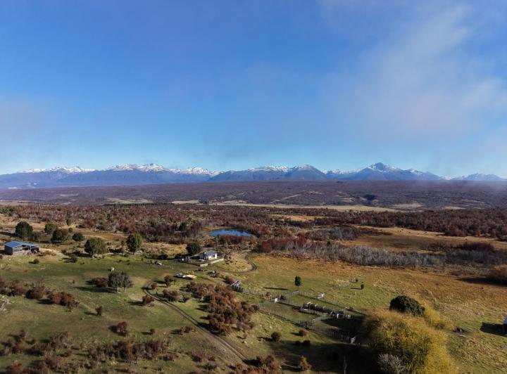 Campo · 1250ha