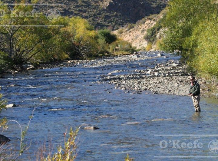 Campo · 50ha · 2 Ambientes