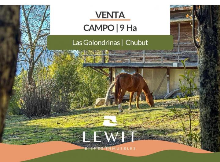 Campo · 9ha · 3 Ambientes · 4 Cocheras