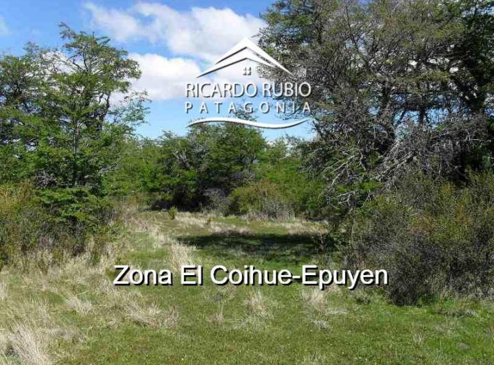 Campo · 38900m²
