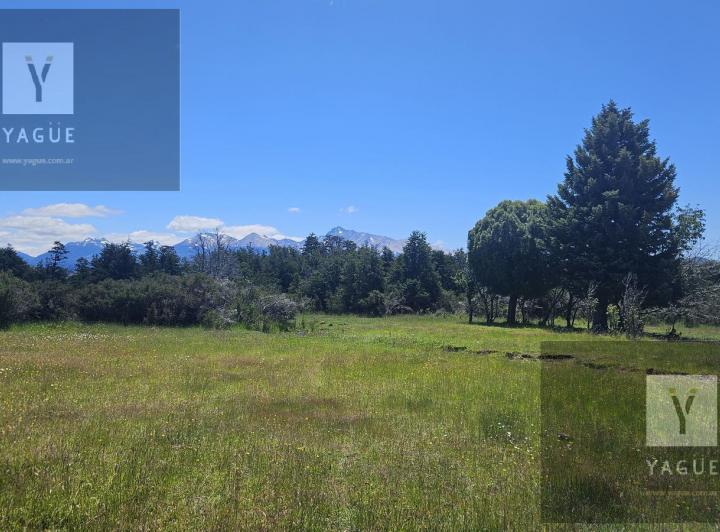 Campo · 40ha · 2 Ambientes