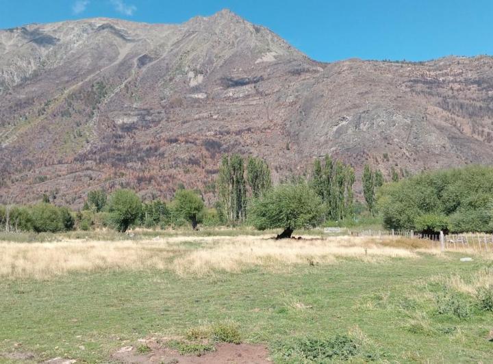 Campo · 65000m²