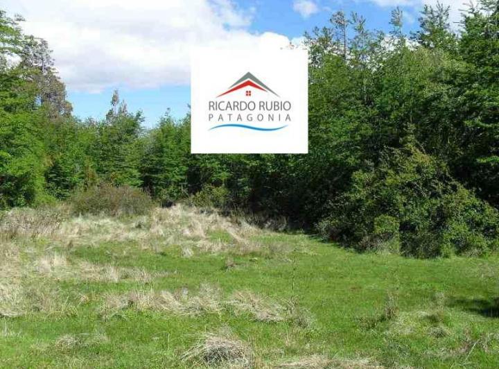 Campo · 200000m²