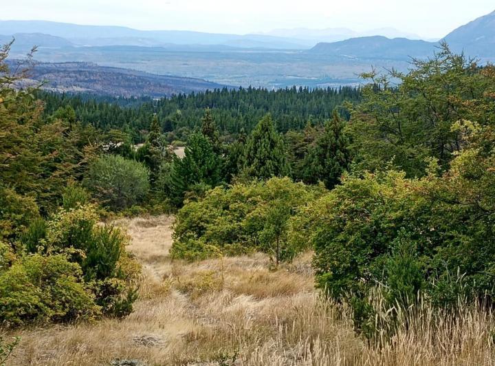 Terreno · 50000m²