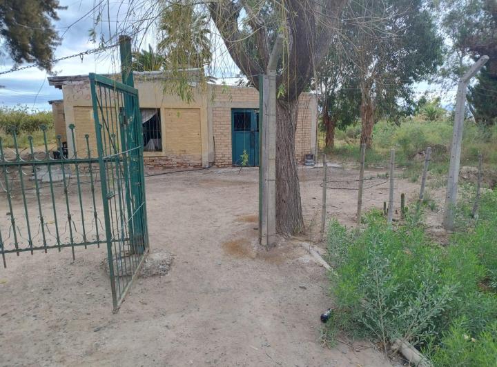 Campo · 70ha
