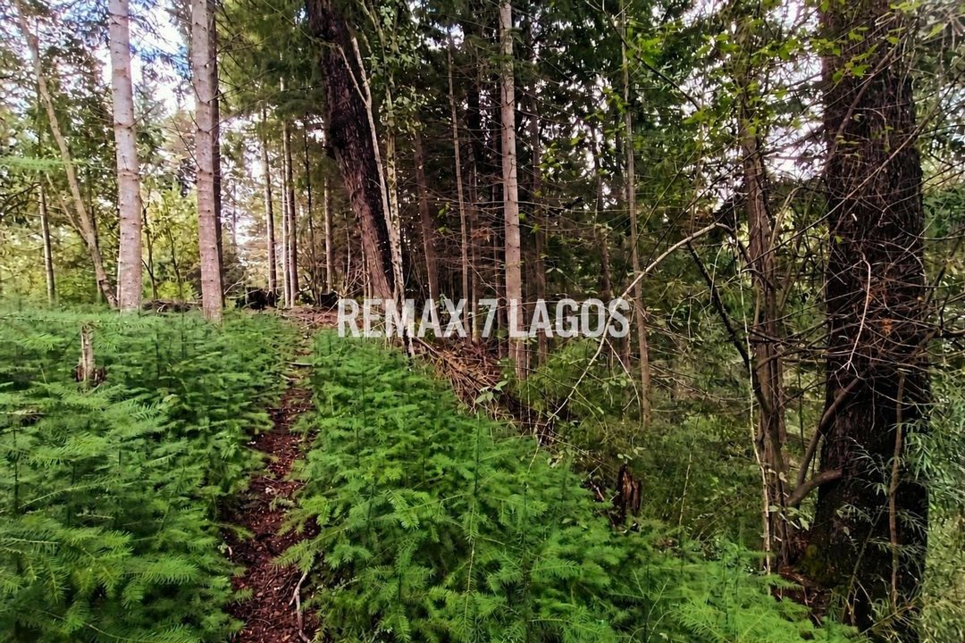 EQUIPO REMAX VENDE EXCELENTE TERRENO CON ARROYO