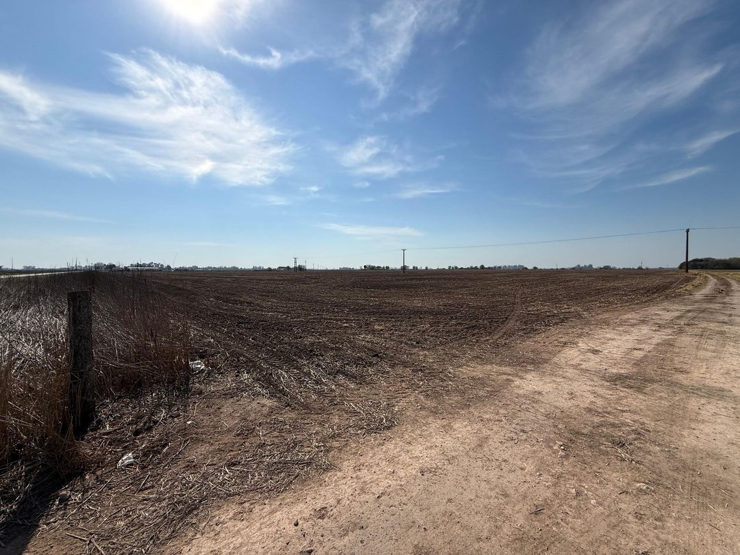 CAMPO AGRICOLA EN VENTA EN PINZON
