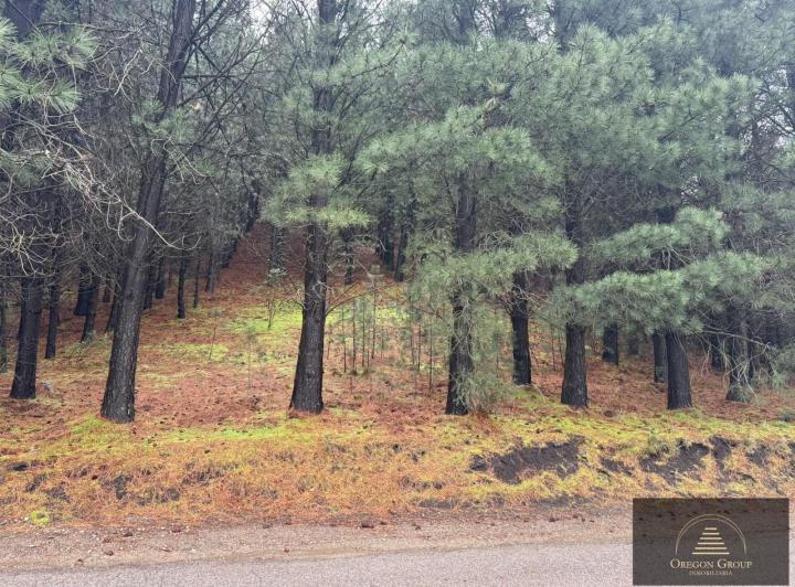 Terreno · 2600m²