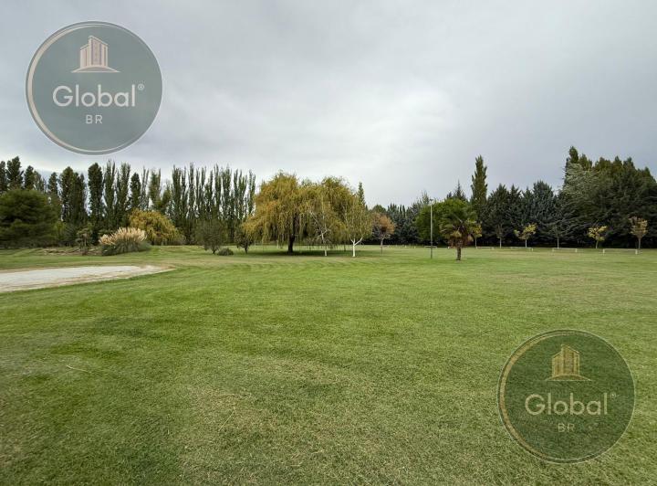 Campo · 45990m²