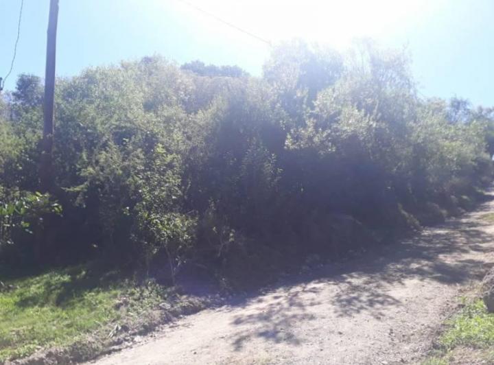 Terreno · 343m²