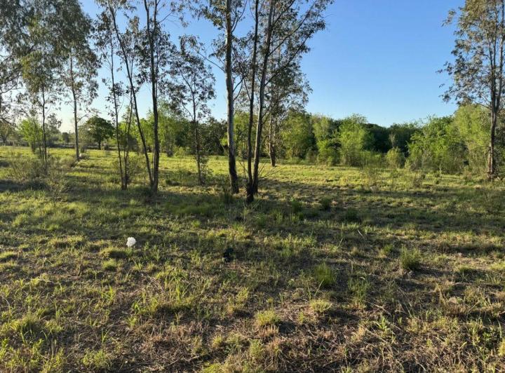 Terreno · 9548m²