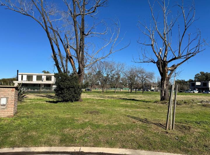Terreno · 823m²
