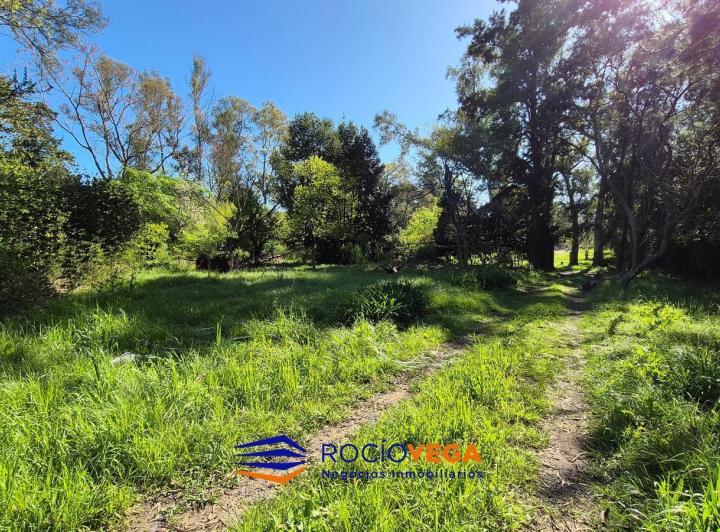 Terreno · 88m²