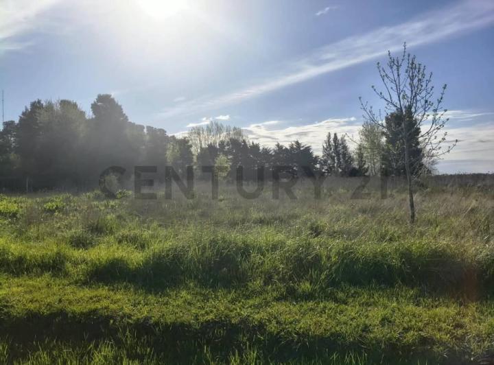 Terreno · 957m²