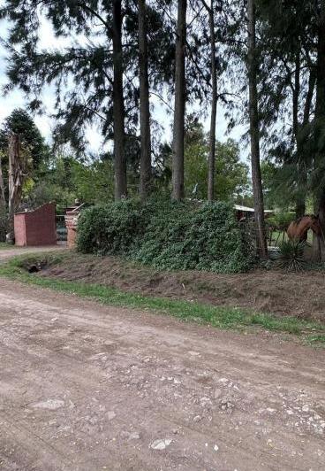 Terreno