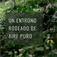 Terreno · 1300m²