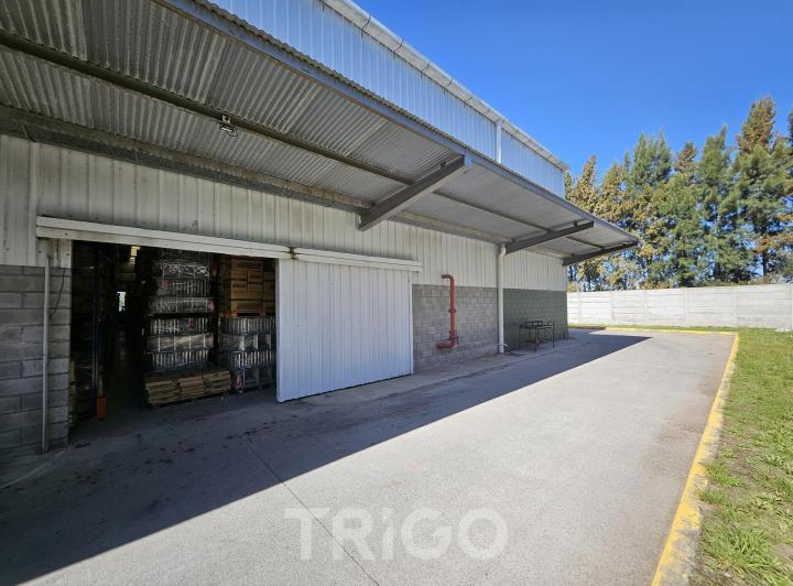 Depósito · 1250m² · 1 Ambiente