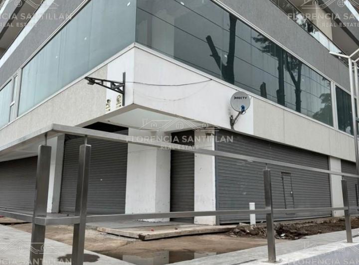 Local comercial · 312m² · 1 Cochera
