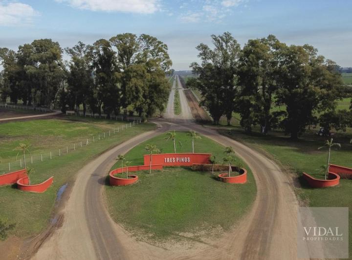 Terreno · 1000m²
