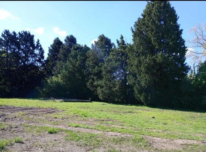 Terreno · 6975m²