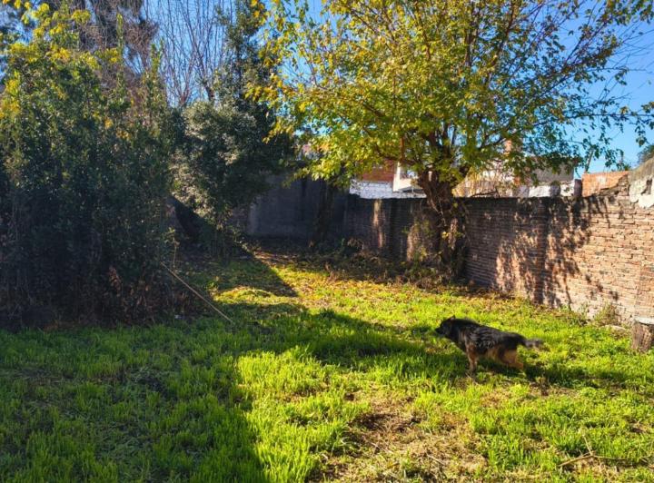 Terreno · 335m²