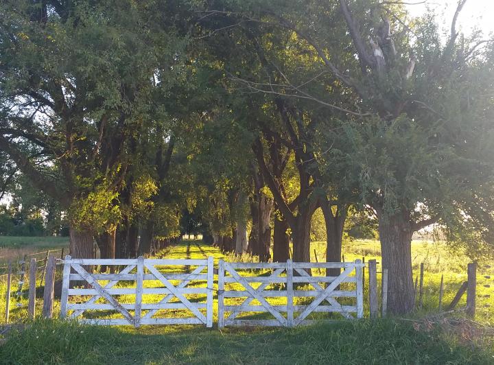 Terreno · 40ha · 3 Ambientes