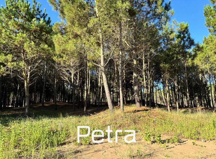 Terreno · 1002m²