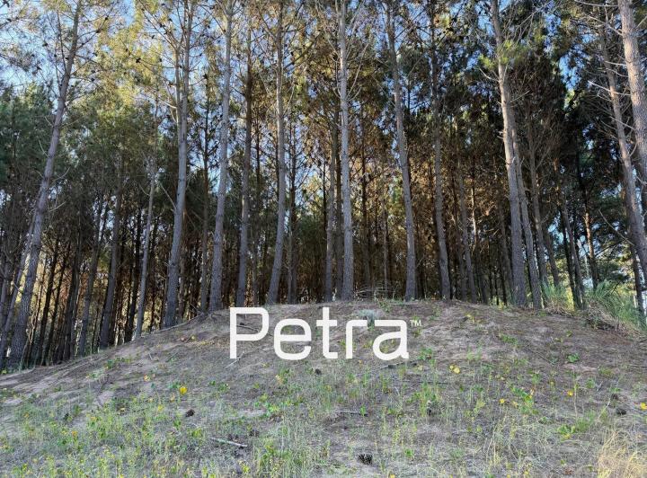 Terreno · 780m²
