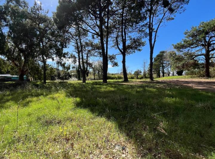 Terreno · 450m²