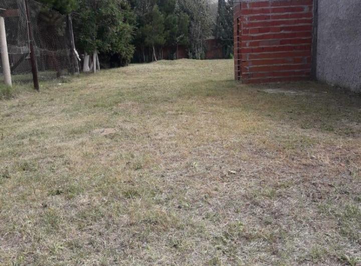 Terreno