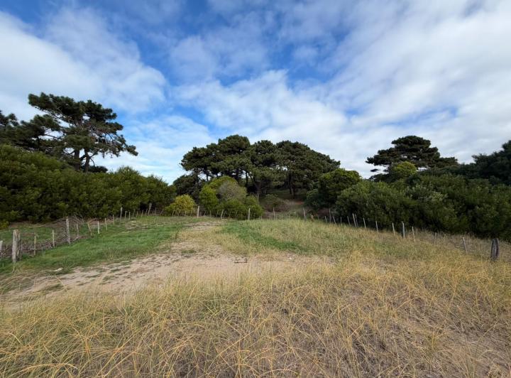 Terreno · 717m²