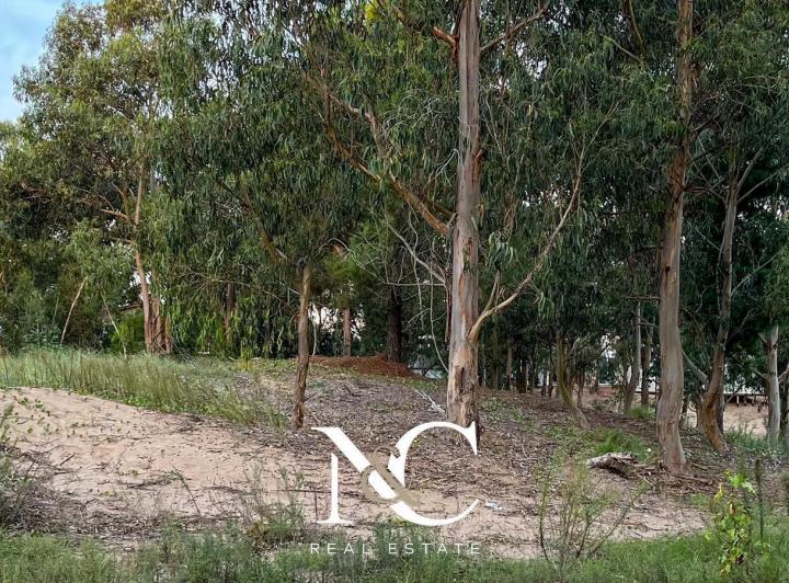 Terreno · 1000m²