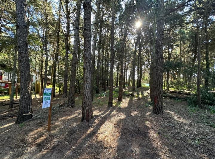 Terreno · 450m²