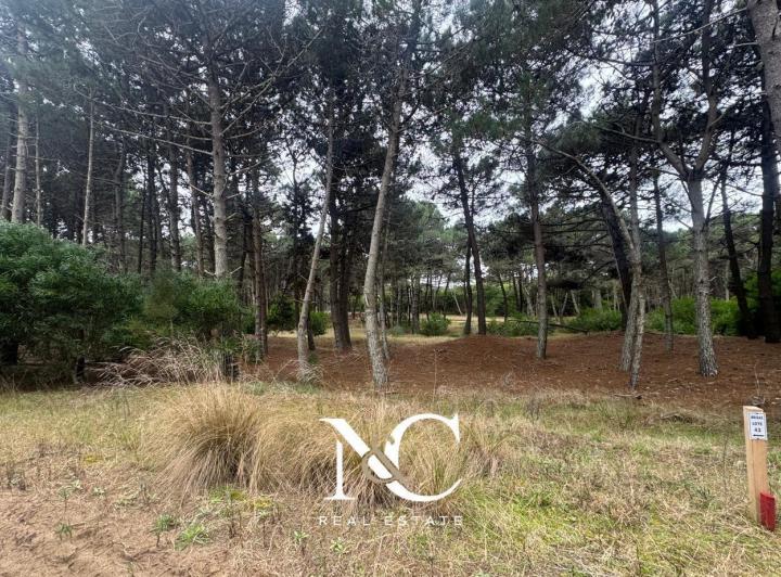 Terreno · 929m²