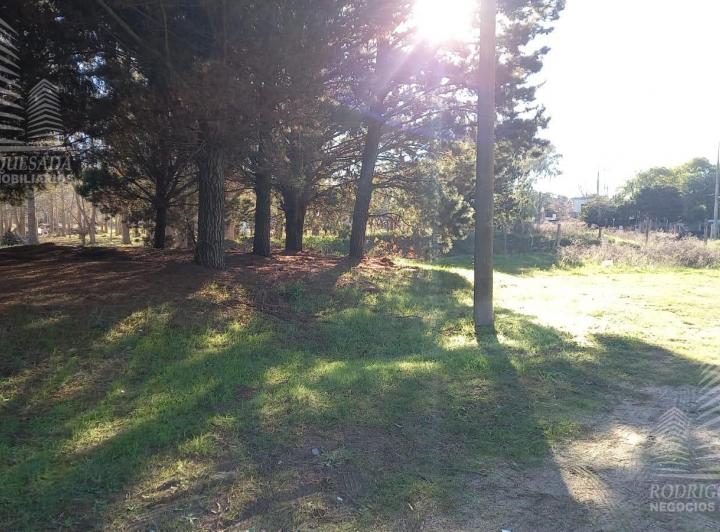 Terreno · 1000m²
