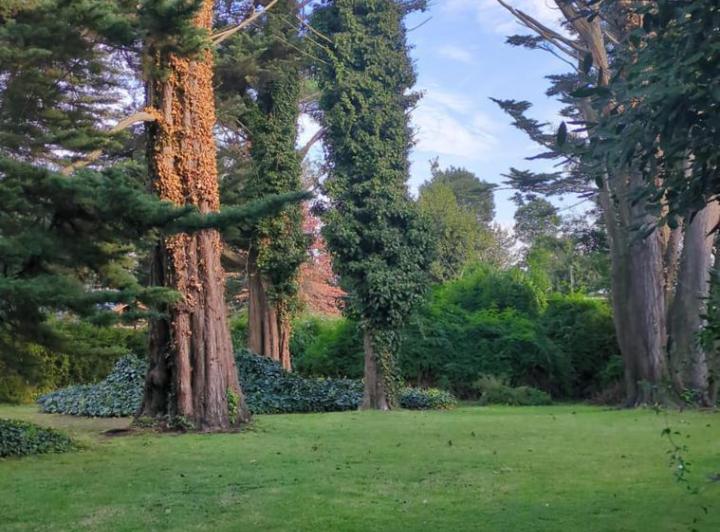 Terreno · 900m²