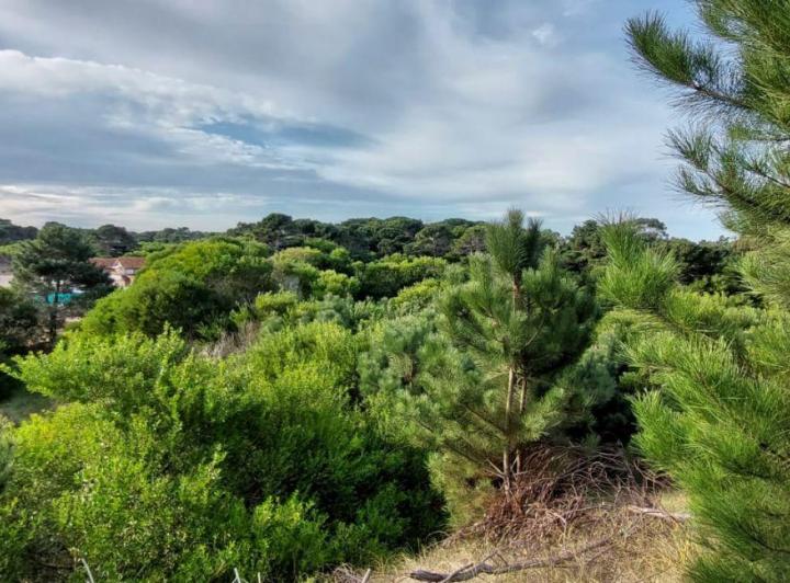 Terreno · 9537m²