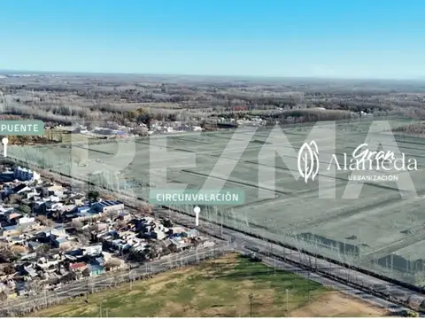 Venta lote residencial b° gran alameda cipolletti