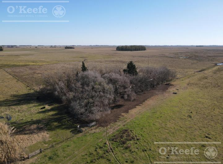 Campo · 8000000ha