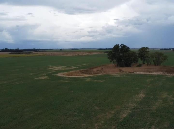 Campo · 30000m²