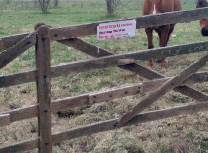 Campo · 110000m²