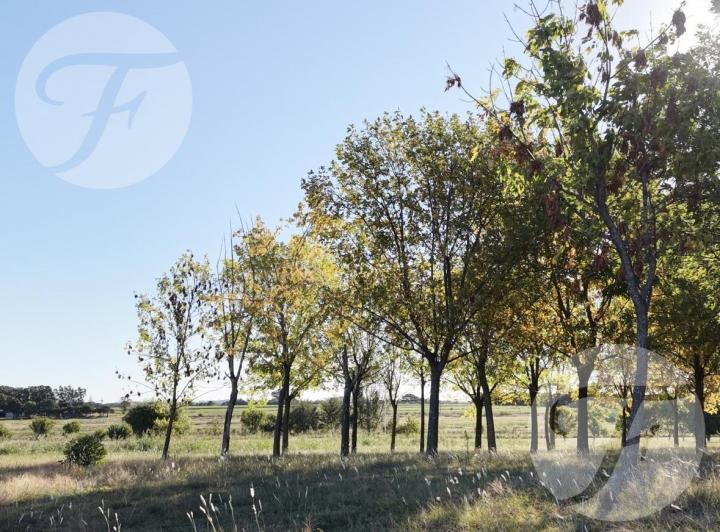 Terreno · 1050m²