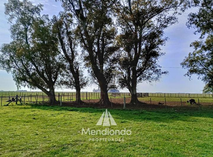 Campo · 750000m²