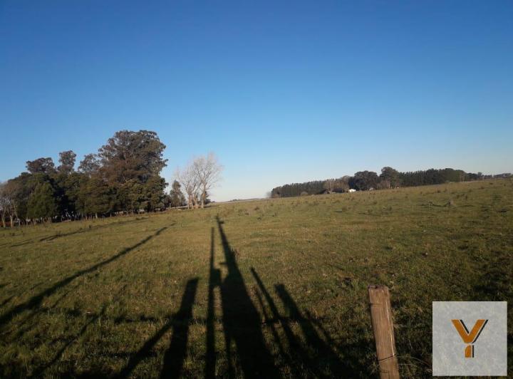 Campo · 3ha