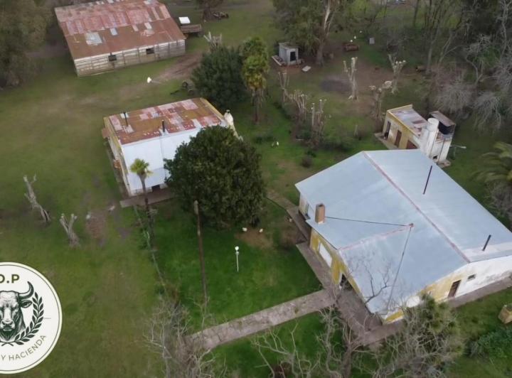 Campo · 297ha