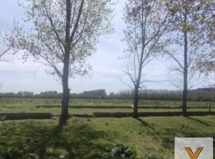 Campo · 50000m²