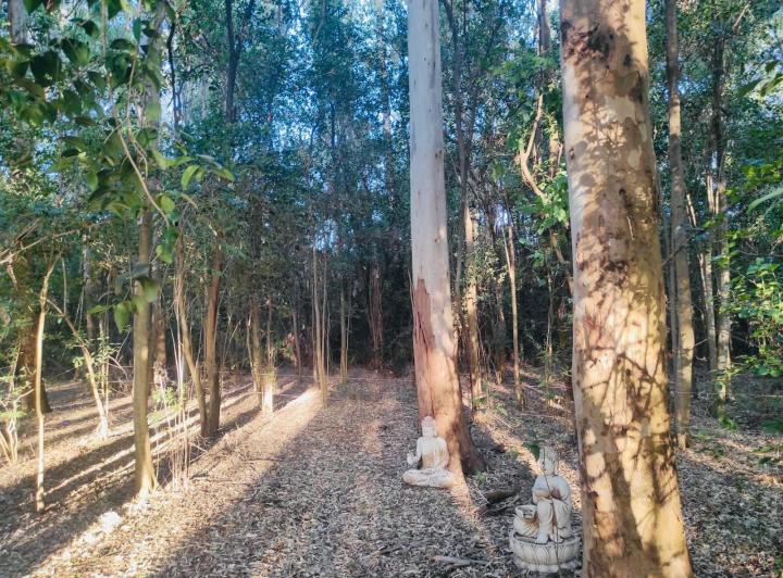 Campo · 5000m²