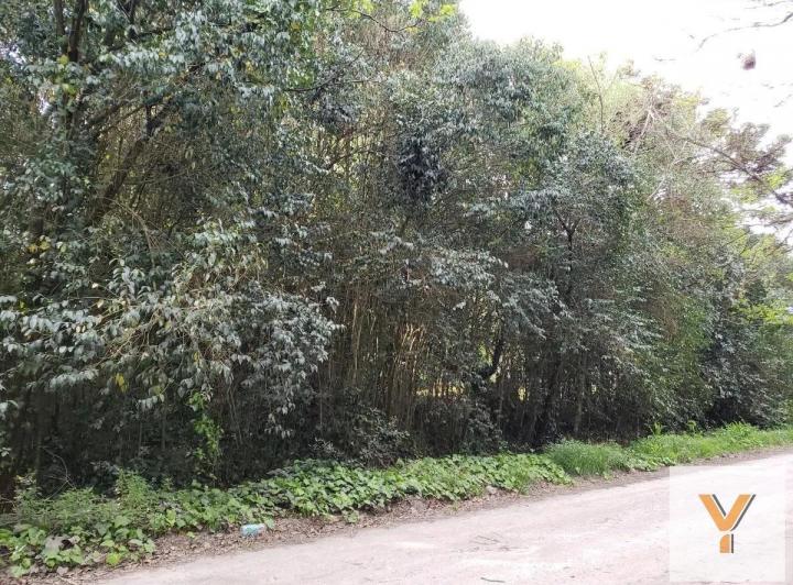 Terreno · 1330m²