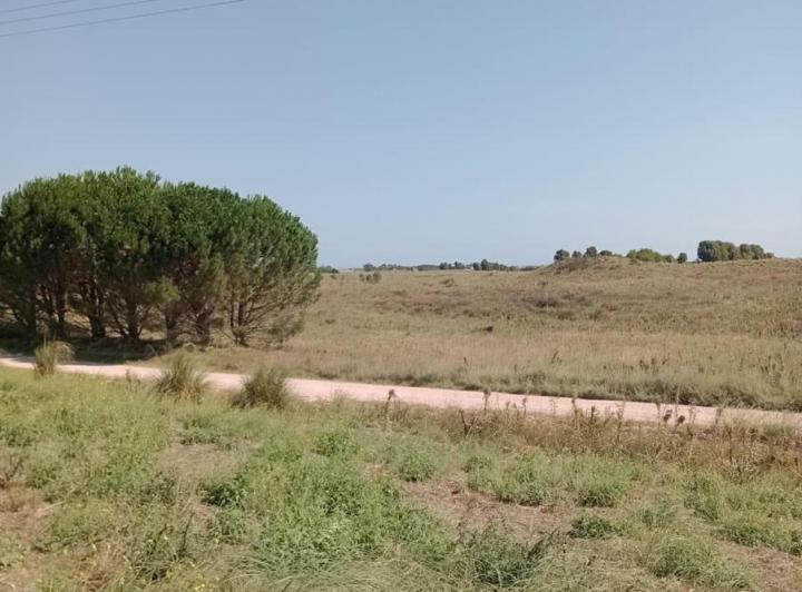 Terreno · 4828m²