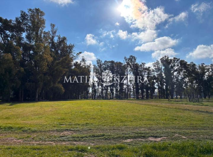 Terreno · 2800m²